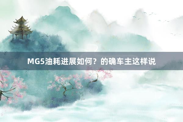 MG5油耗进展如何？的确车主这样说