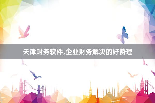 天津财务软件，企业财务解决的好赞理